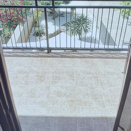 Jancic メドゥリン