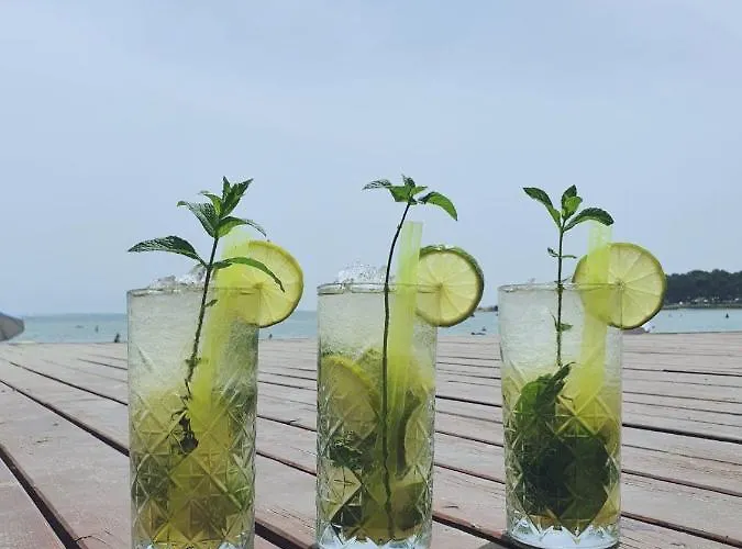 Jancic * Μεντουλίν